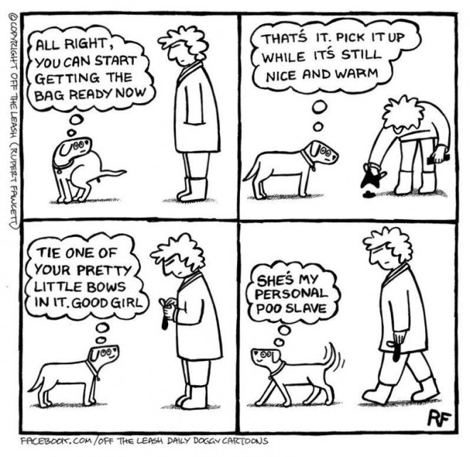 off the leash: the secret life of dogs, poo slave cartoon