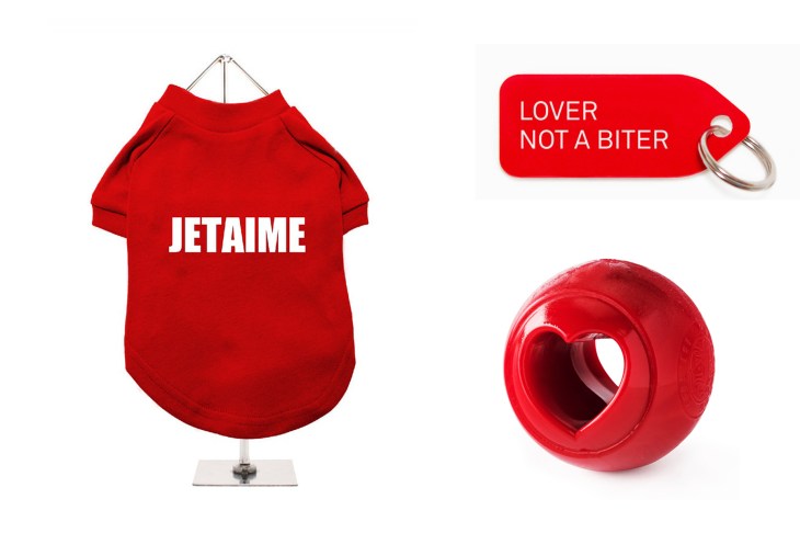 valentines-day-presents-for-dogs