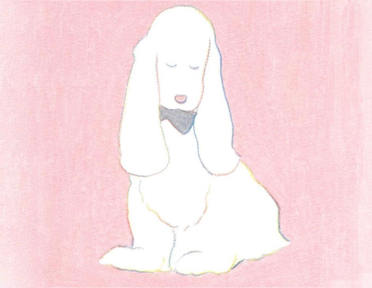 Cooper spaniel, illustration by Teraoka Natsumi (c)
