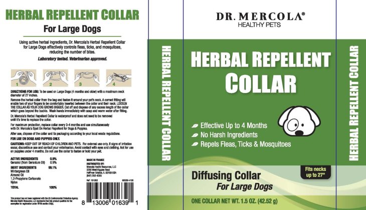 Large Dog collar box_v102_webOL