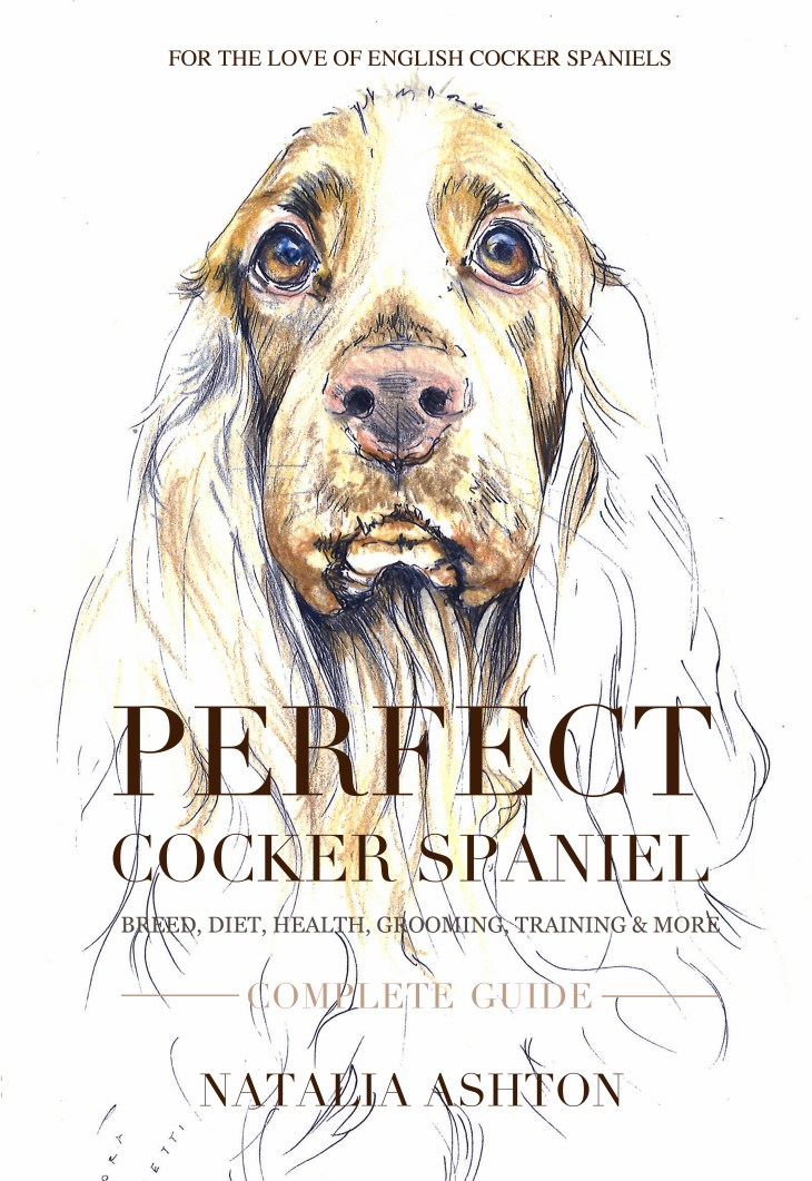 perfect-cocker-spaniel-cover-kindle-june_edited-1
