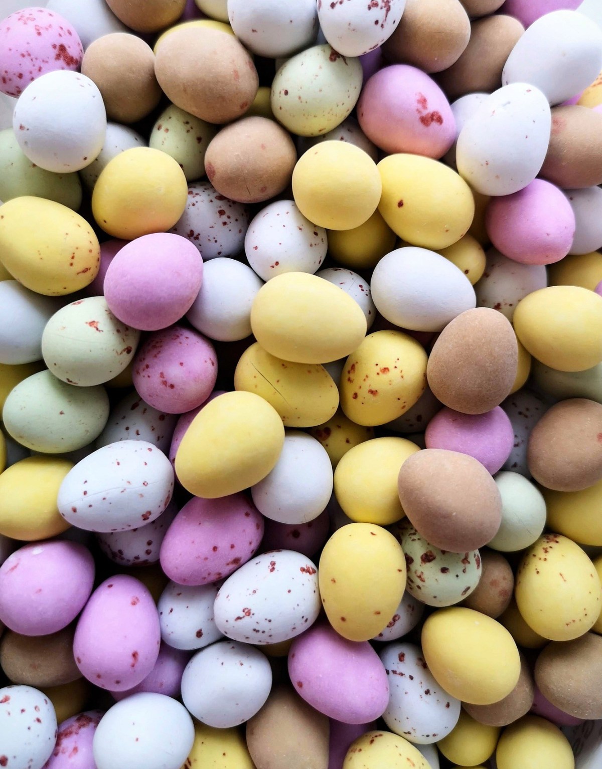 Easter chocolate toxic poisoning for dogs / signs of chocolate poisoning / what to do if dog ate chocolate / first published on Perfect cocker spaniel blog (C) Natalia Ashton