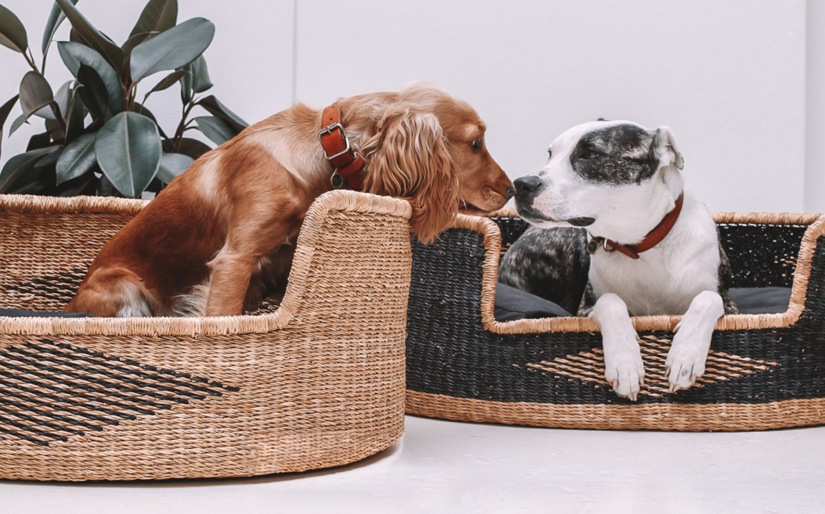 You & Lou luxury designer woven straw dog basket beds / review first published on Perfect cocker spaniel blog (C)