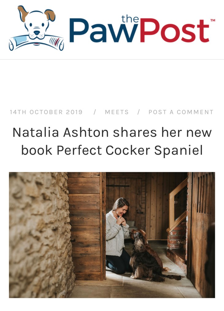 Interview about Perfect cocker spaniel book with Rachel Spencer, The Paw Post / cocker spaniel love, tips and puppy advice on dog blog (c)