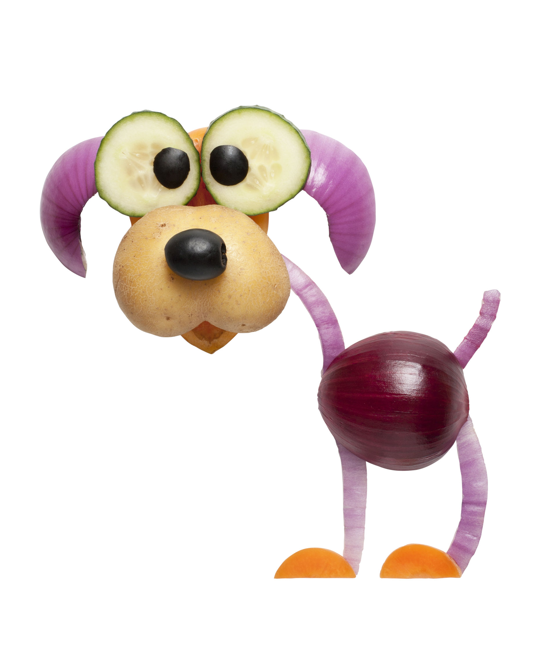 cocker spaniel diet | PERFECT COCKER SPANIEL | Page 2