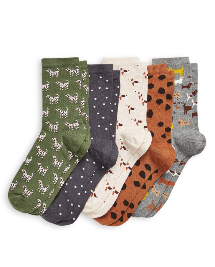 Best christmas presents for dog lovers gift guide / dog print socks / beneficial herbs for dogs health issues / home remedies for dogs / English cocker spaniel dog blog, advice, puppy tips, grooming / (C) Natalia Ashton