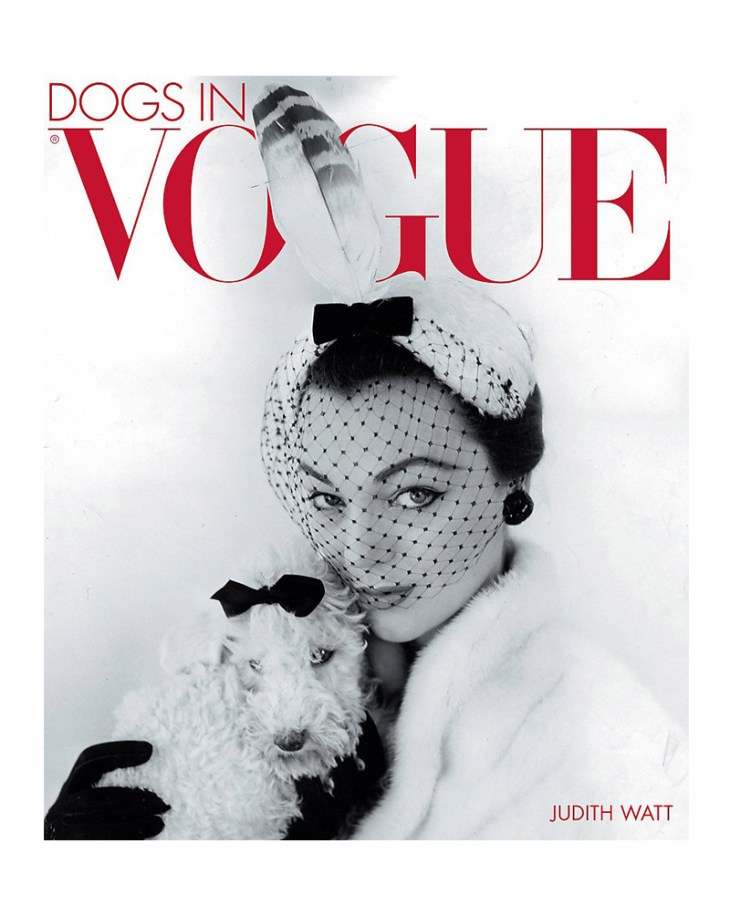 dogs-in-vogue-judith-watt-ultimate-fashion-dog-photography-perfect-christmas-presents-for-dog-lovers-gift-guide-perfect-cocker-spaniel-blog