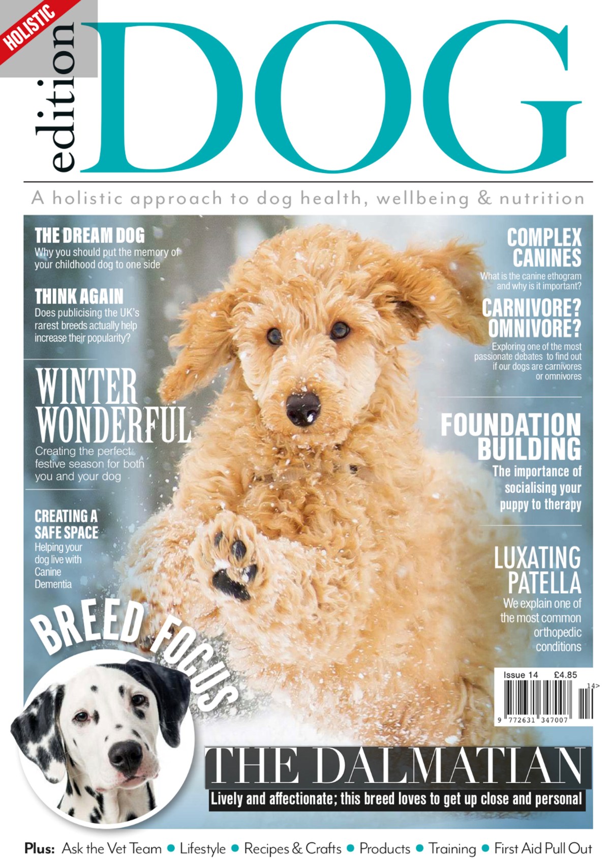 Perfect cocker spaniel book featured in Edition Dog magazine / dog and puppy tips, advice, cocker spaniel grooming, diet, health / dog blog (C) Natalia Ashton