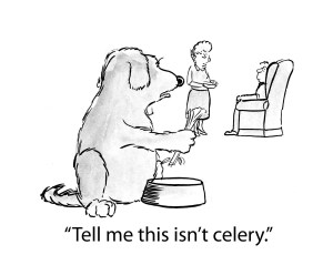 Is your dog overweight? How to help your cocker spaniel lose & maintain ...