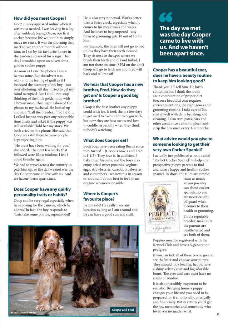 Perfect cocker spaniel book featured in Burns Tailchaser Times magazine / bestseller breed &amp; puppy guide / best books about English cocker spaniels / puppy advice, tips, diet, training, grooming book / dog pet blog / Natalia Ashton