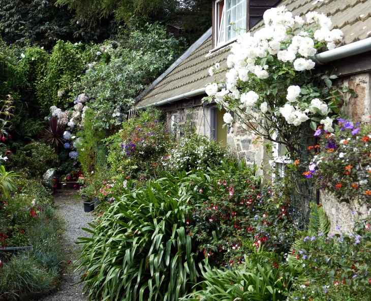 How to stop dog digging garden / English cocker spaniel puppy training tips / breed and puppy guide dog book /