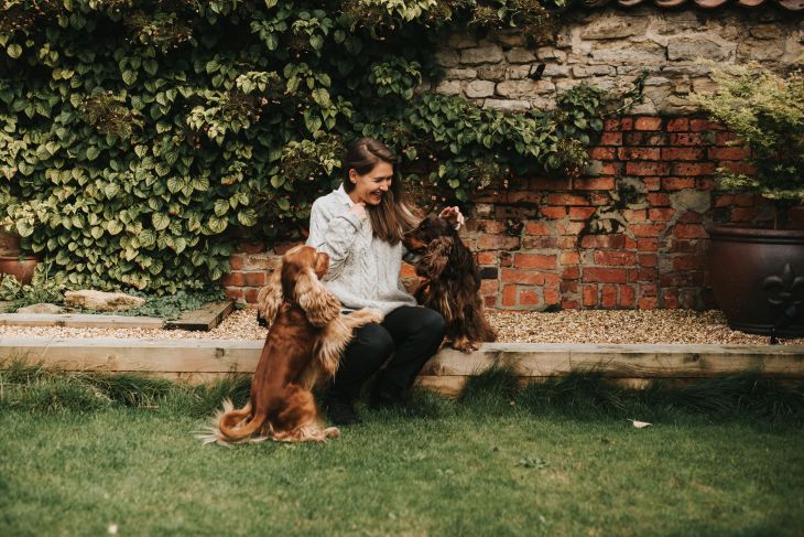 natalia-cooper-fred-edition-dog-4