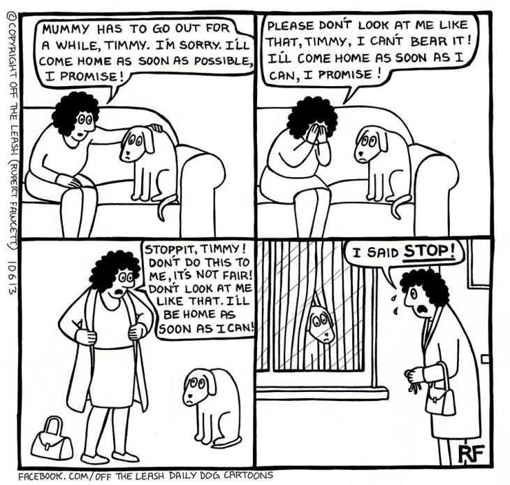 What is separation anxiety in dogs? How to prevent separation anxiety in english cocker spaniels? Mummy will be back soon cartoon by Off The Leash (C)