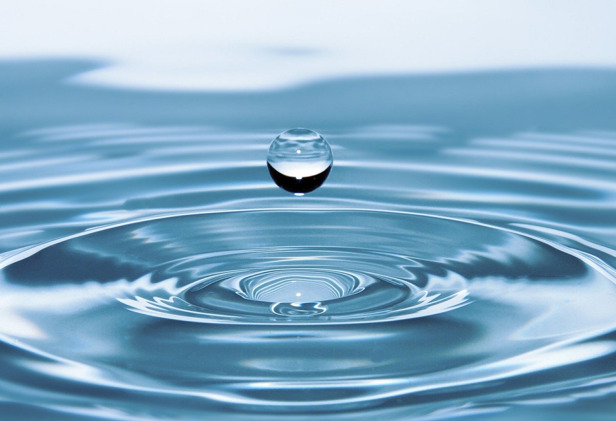 How much water should a dog cocker spaniel drink? Why my puppy drinks so much water? Can drinking water cause problems? When dogs need more water? Diet & nutrition tips and advice for English cocker spaniels dogs by pet nutrition coach / canine nutritionist / Perfect cocker spaniel dog blog, puppy tips, diet, health, grooming (C) Natalia Ashton