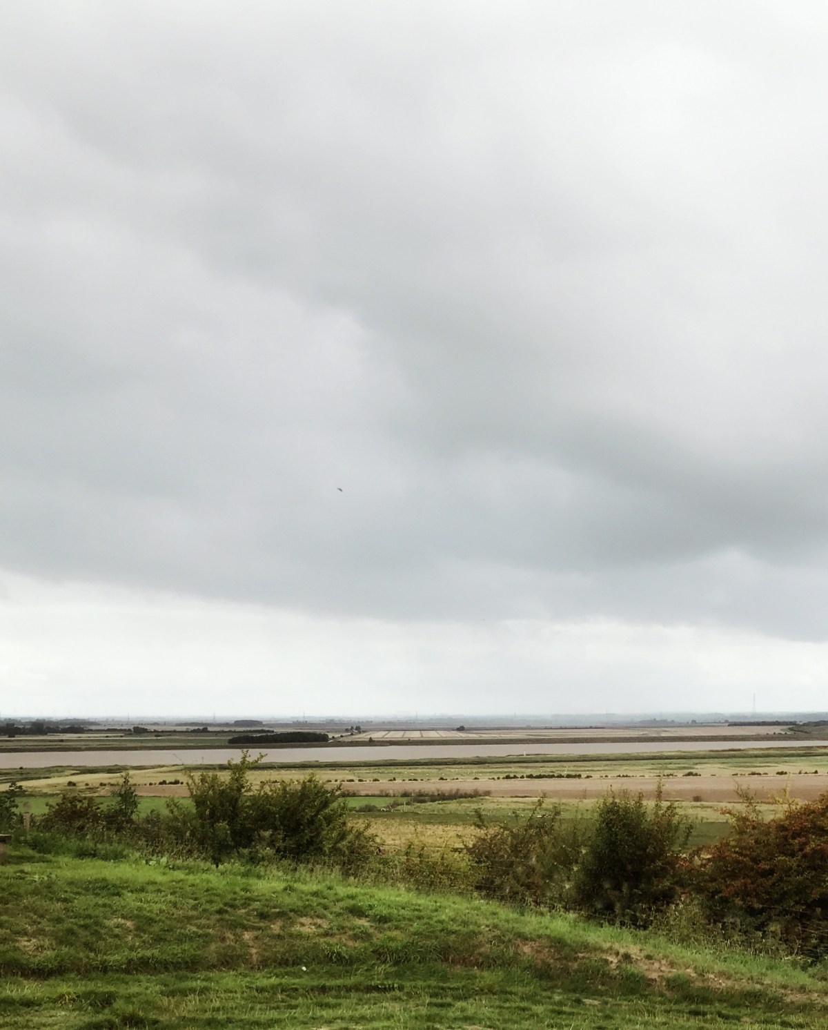 Diary of reactive dog | What is reactivity and how to help the dog overcome reactivity and become resident / (C) Natalia Ashton, Perfect cocker spaniel dog blog