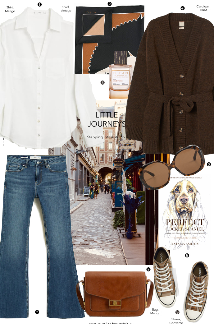 Outfit idea for walking dog in style inspired by Parisian style and london fashion, Celine & Hedi Slimane / Created with best finds from high street, vintage and designer / Cardigan, jeans, converse, classic white shirt / Perfect cocker spaniel blog for the love of English cocker spaniels, tips for cocker spaniels, breed, puppy, grooming guide (C) Natalia Ashton