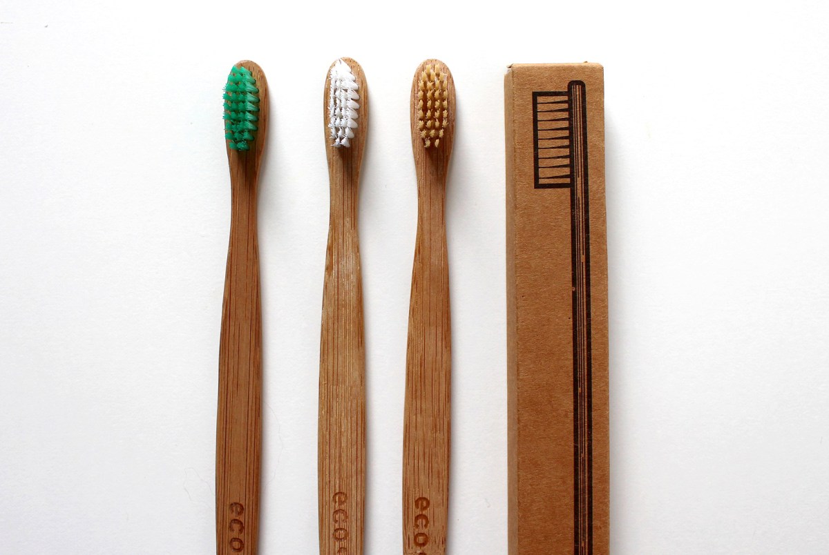 How to keep dog teeth healthy, how to brush dogs teeth, puppy advice, tips, best products for brushing dogs teeth