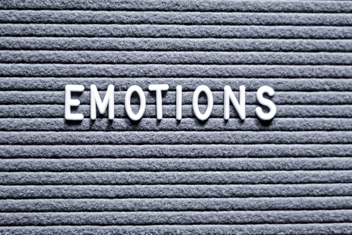 Signs how to tell if a dog is happy, sad or stressed / dog body language / English cocker spaniel blog / Perfect cocker spaniel (C) Beyond the Doughnut / tips, advice on spaniel grooming, nutrition, diet, care, puppy tips (C) Natalia Ashton