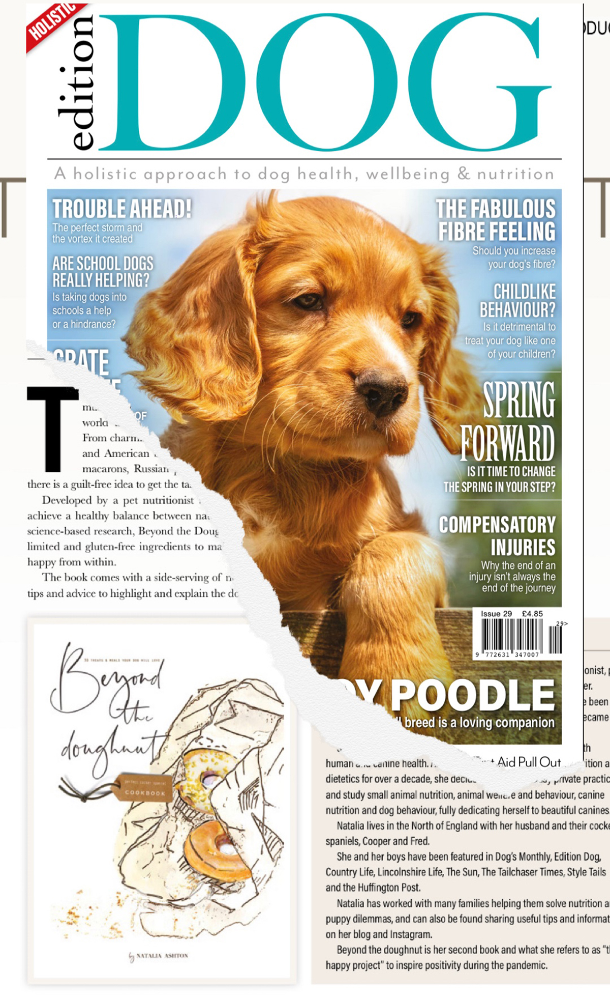 Beyond the doughnut, recipe book for healthy gluten free dog treats and meals recipes by Natalia Ashton / featured in Edition dog magazine