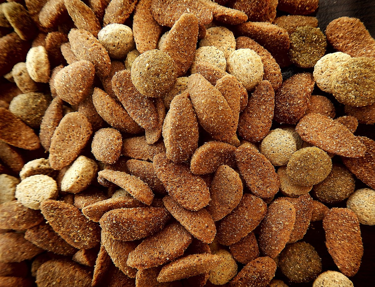 dog dry pet food, kibble, benefits of kibble and dry dog food, types of kibble, does kibble cause cancer and illness in dogs, pet food recalls , nutrition advice for dogs, English cocker spaniel blog and tips on grooming, diet, training and puppy care (C) Natalia Ashton