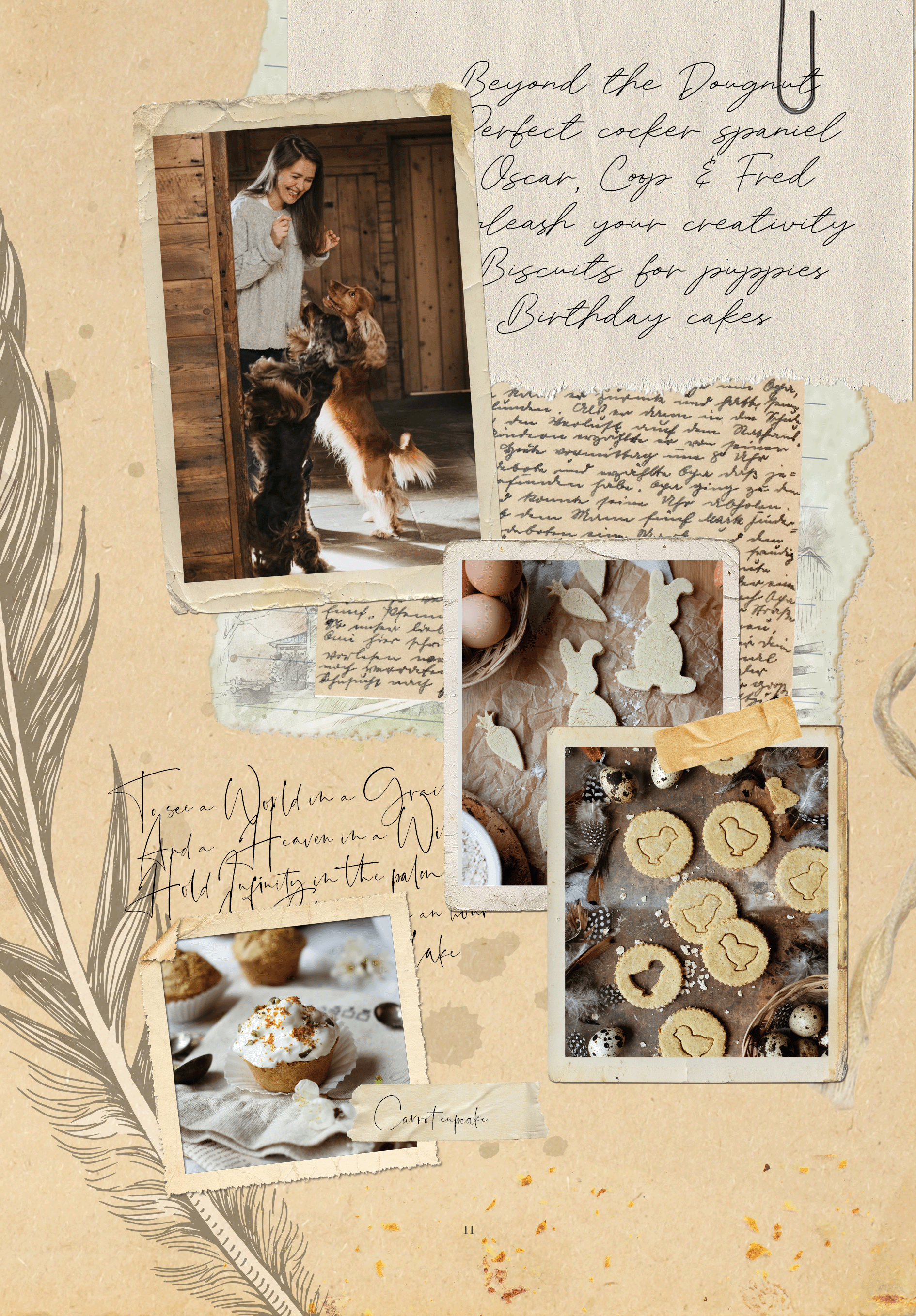 Treats, biscuits, ice-creams, cakes and baked by Natalia Ashton (C) The ultimate dog treats cookbook / over 30 recipes including gluten-free recipes for dogs and puppies of all ages by canine nutritionist. Home cooking and baking ideas for dogs.